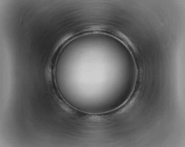 X0000114530827200910191320