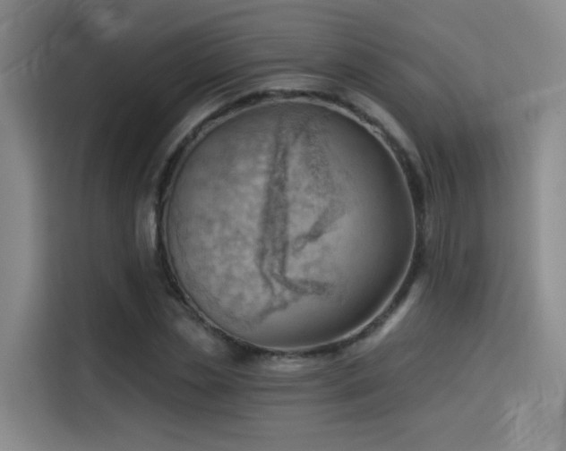 X0000114530829200910191320