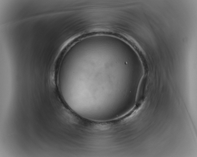 X0000114530830200910191320