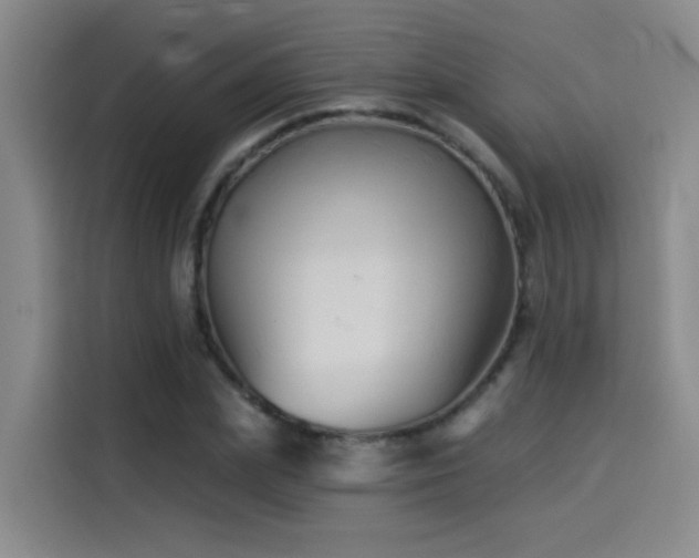 X0000114530831200910191320