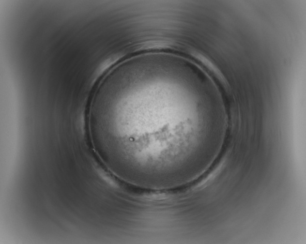 X0000114530834200910191320
