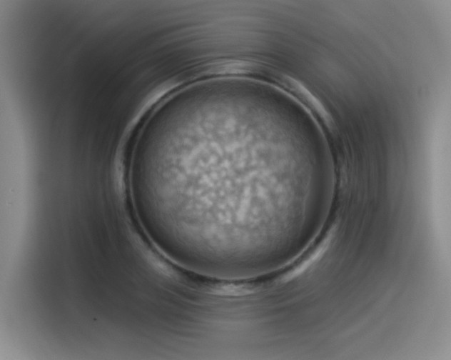X0000114530835200910191320