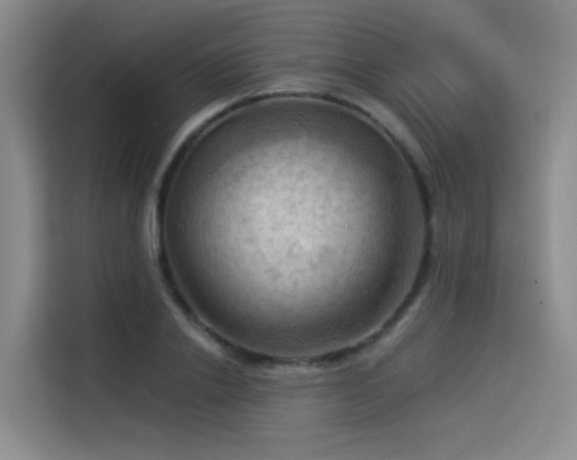 X0000114530838200910191320