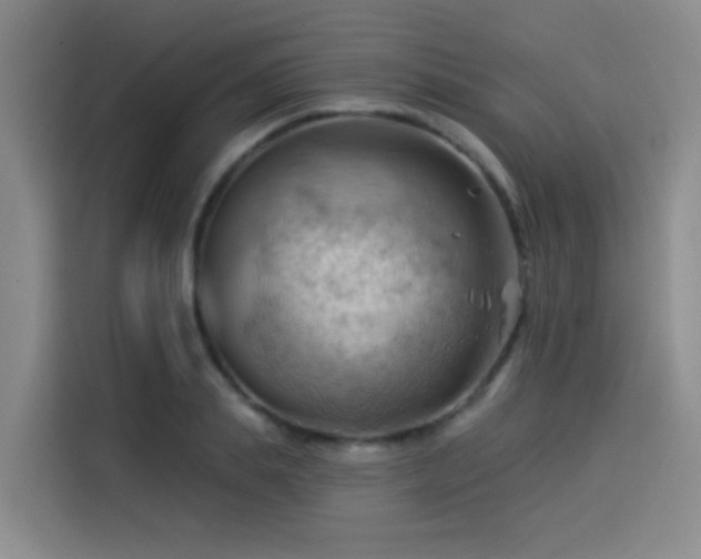 X0000114530839200910191320