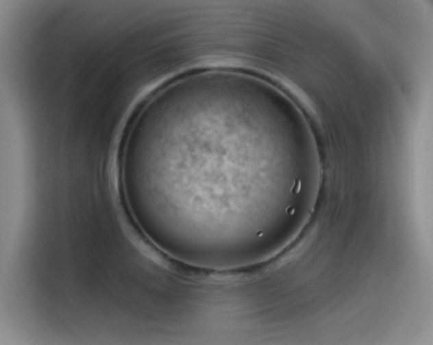 X0000114530840200910191320