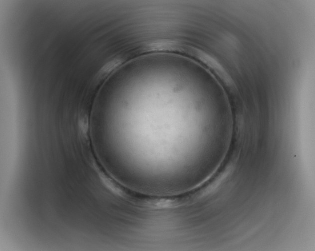 X0000114530841200910191320