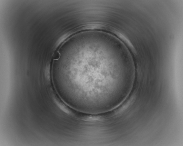 X0000114530842200910191320