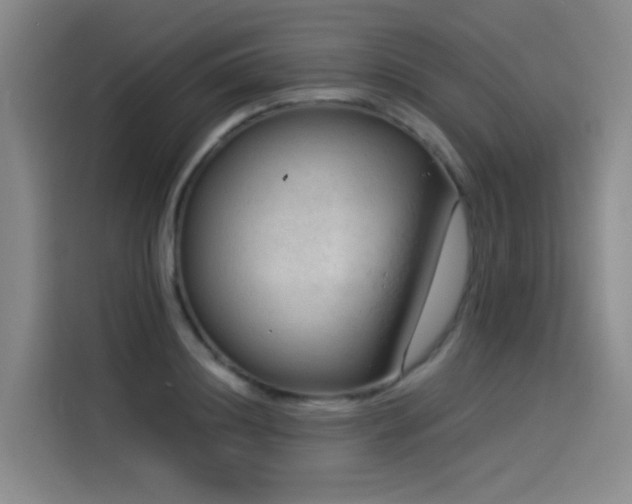 X0000114530844200910191320