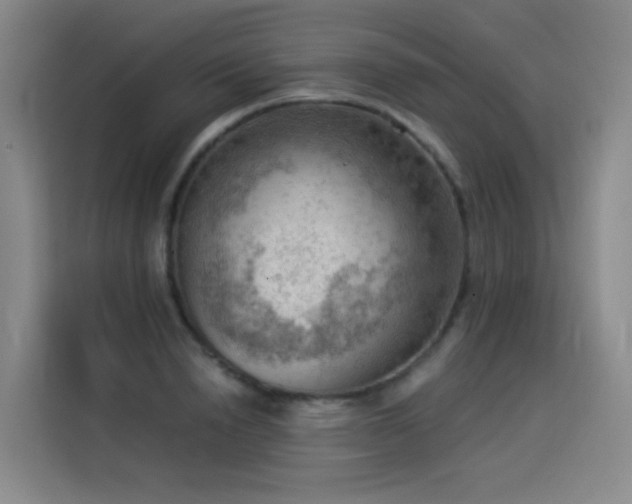X0000114530846200910191320