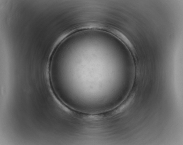 X0000114530847200910191320
