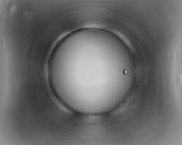 X0000114530848200910191320
