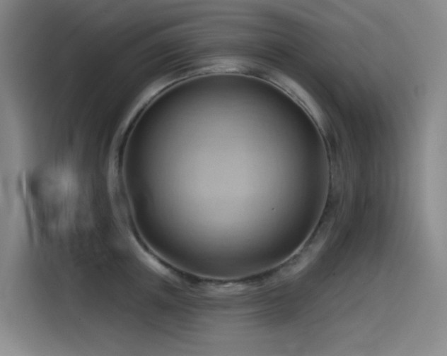 X0000114530851200910191320