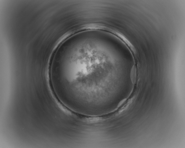 X0000114530853200910191320