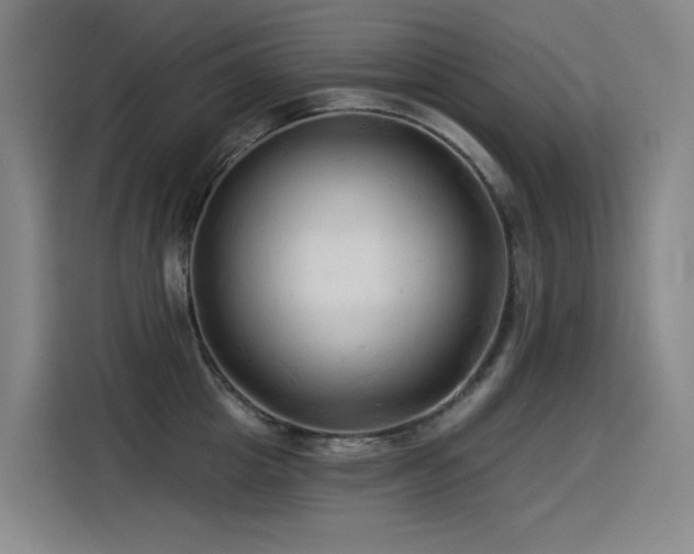 X0000114530857200910191320