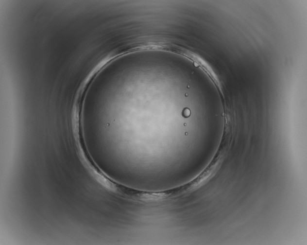 X0000114530859200910191320