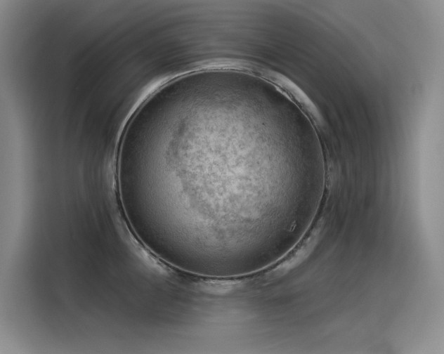 X0000114530860200910191320