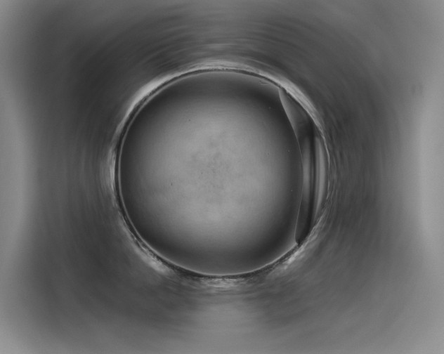 X0000114530862200910191320