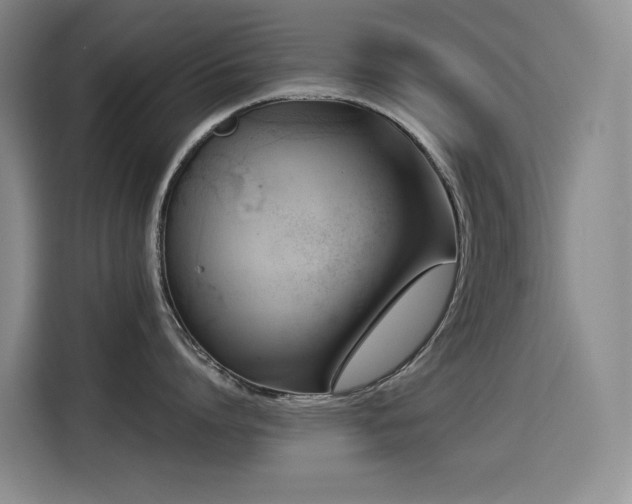 X0000114530864200910191320