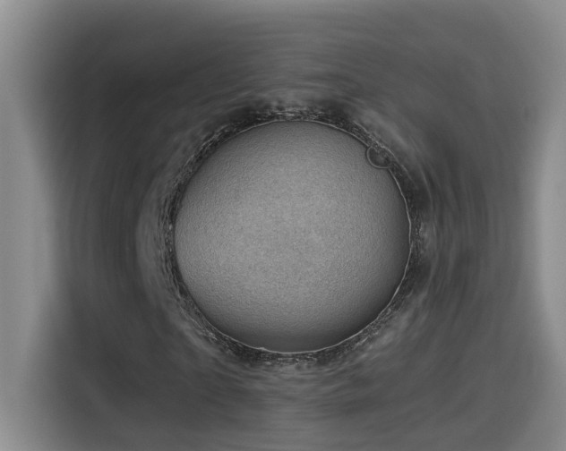 X0000114530865200910191320