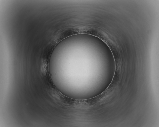 X0000114530866200910191320