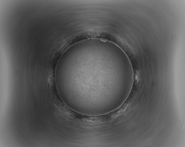 X0000114530867200910191320