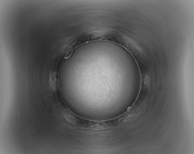 X0000114530868200910191320
