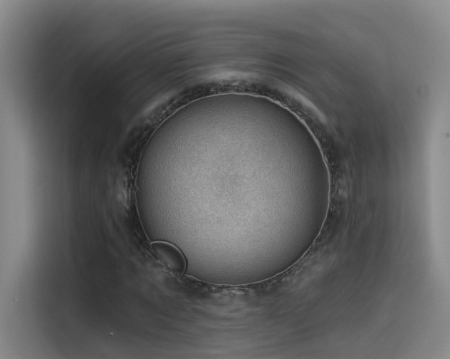 X0000114530869200910191320