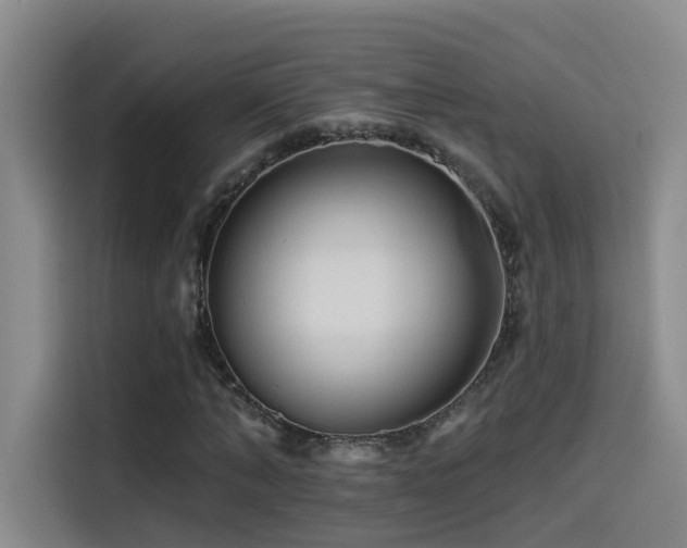 X0000114530870200910191320