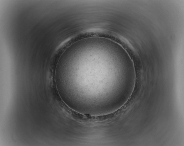 X0000114530872200910191320
