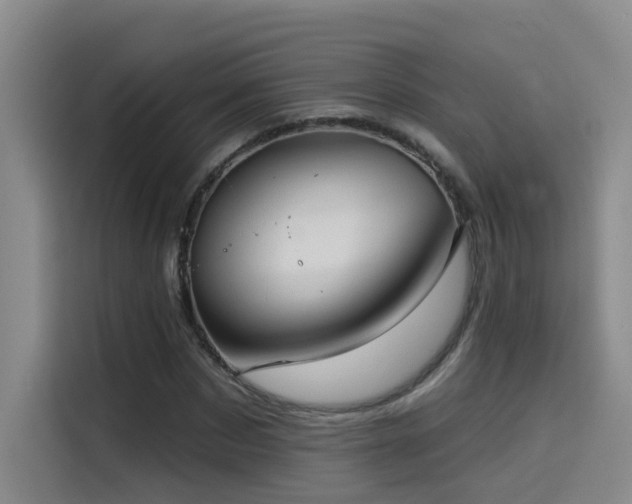 X0000114530873200910191320