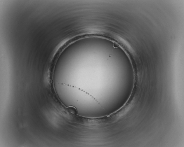 X0000114530875200910191320