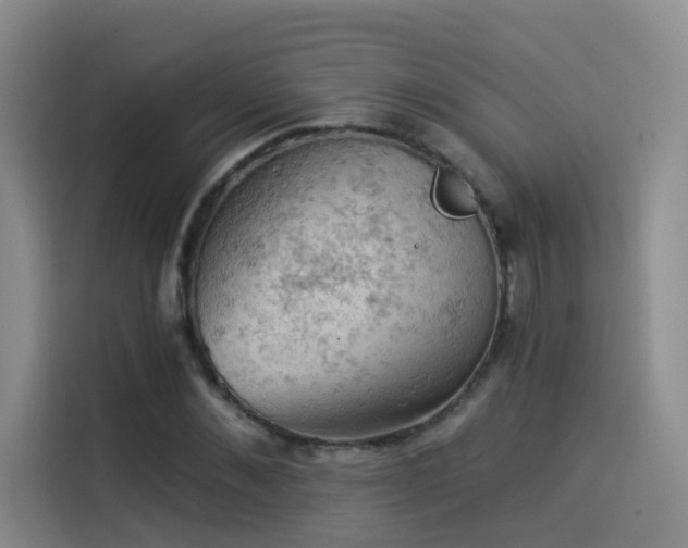 X0000114530876200910191320