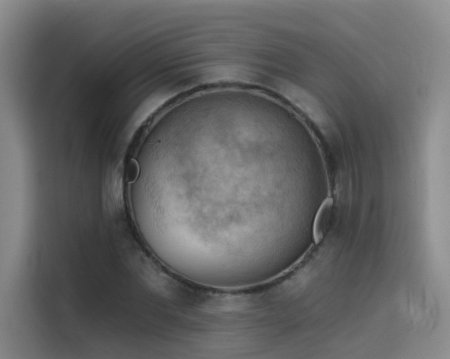 X0000114530877200910191320