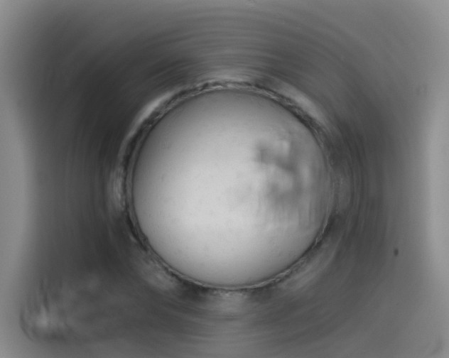 X0000114530878200910191320
