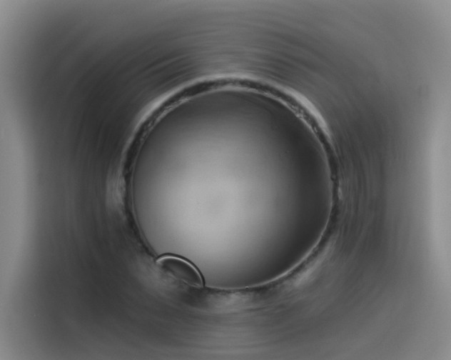 X0000114530879200910191320