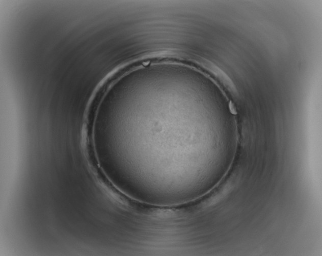 X0000114530880200910191320