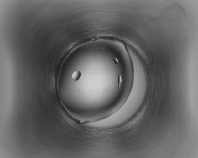 X0000114530881200910191320