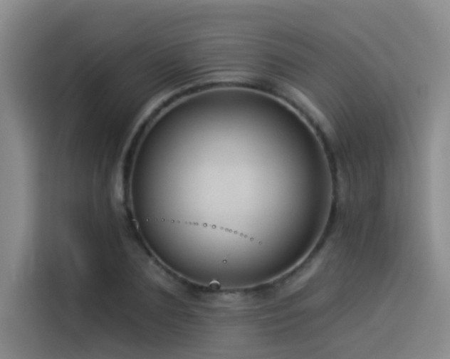 X0000114530883200910191320