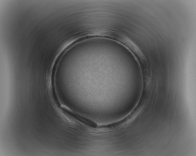 X0000114530884200910191320