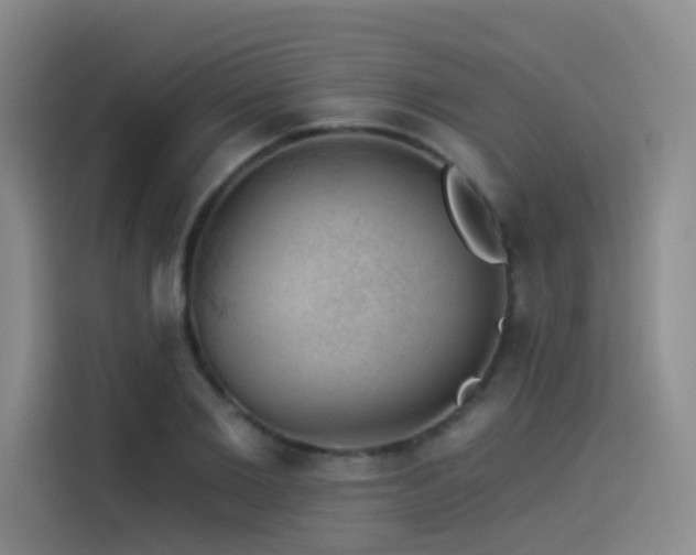 X0000114530885200910191319