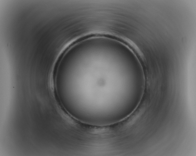X0000114530887200910191319