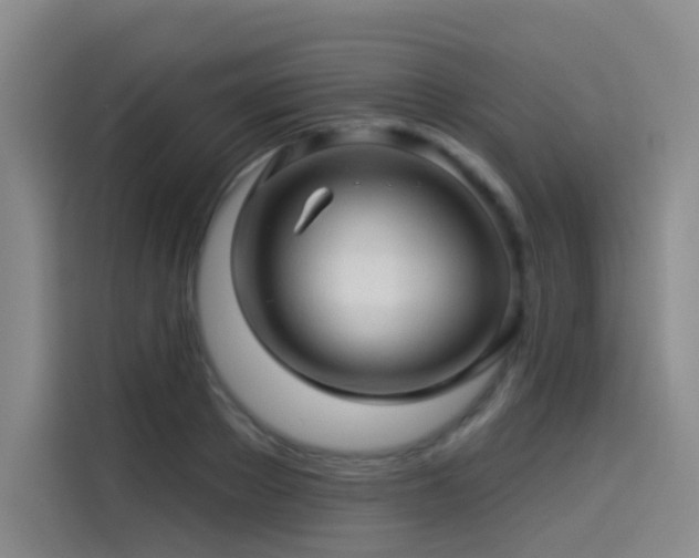 X0000114530889200910191319