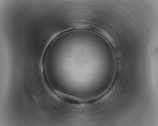 X0000114530891200910191319