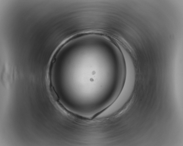 X0000114530892200910191319