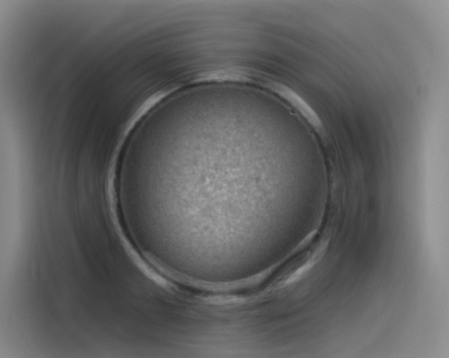 X0000114530893200910191319