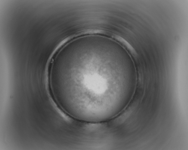 X0000114530894200910191319
