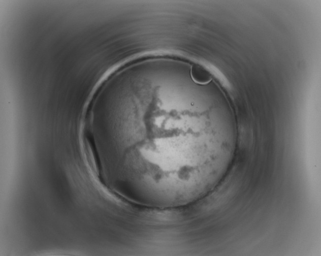 X0000114530895200910191319