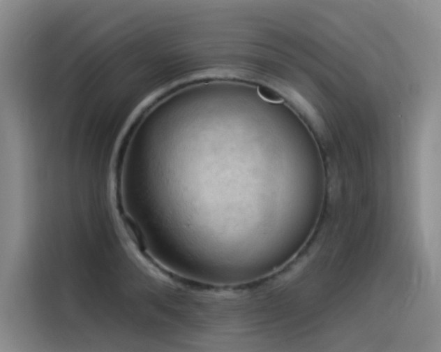 X0000114530896200910191319