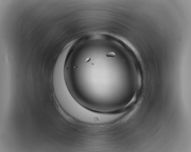 X0000114530897200910191319