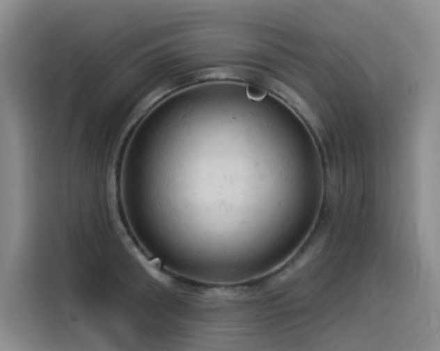 X0000114530898200910191319